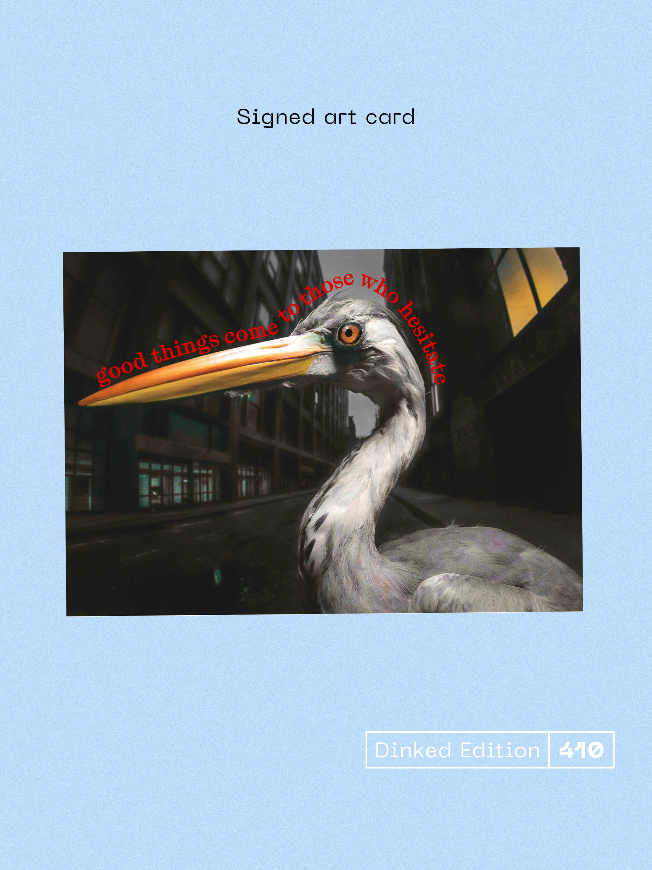 Antony Szmierek - Decoding Birdsong - Image 3