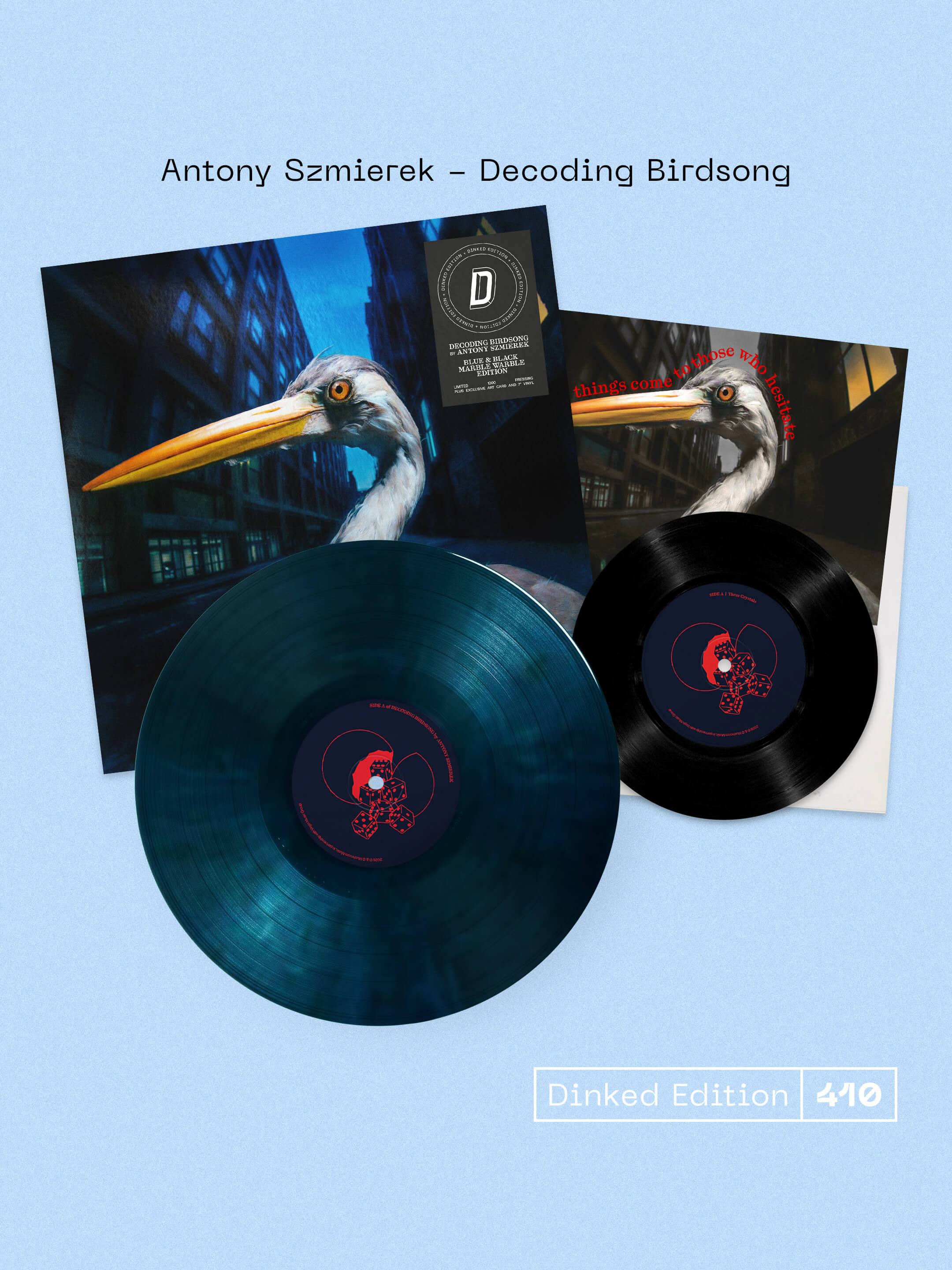 Antony Szmierek - Decoding Birdsong - Image 5