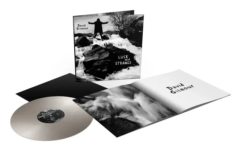 David Gilmour - Luck and Strange - Image 3