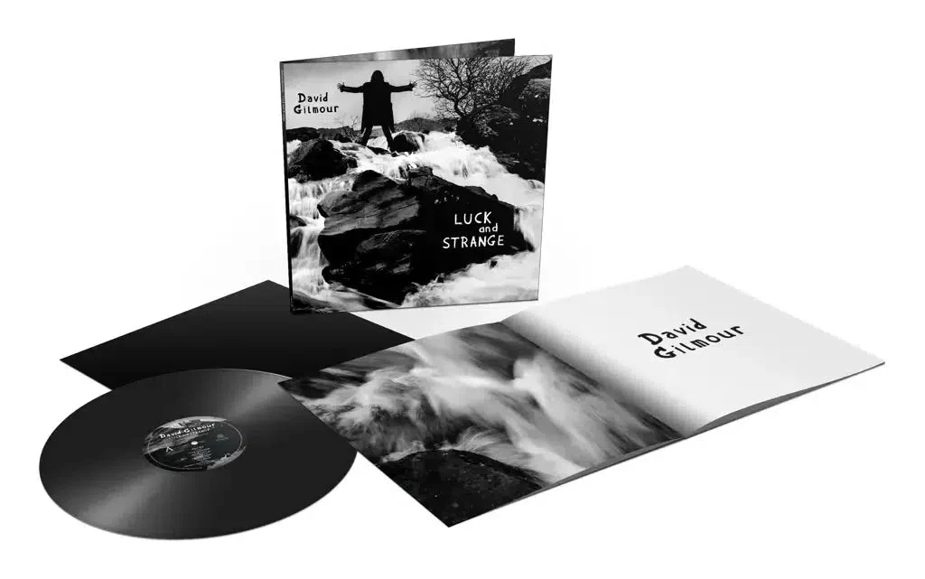 David Gilmour - Luck and Strange - Image 4