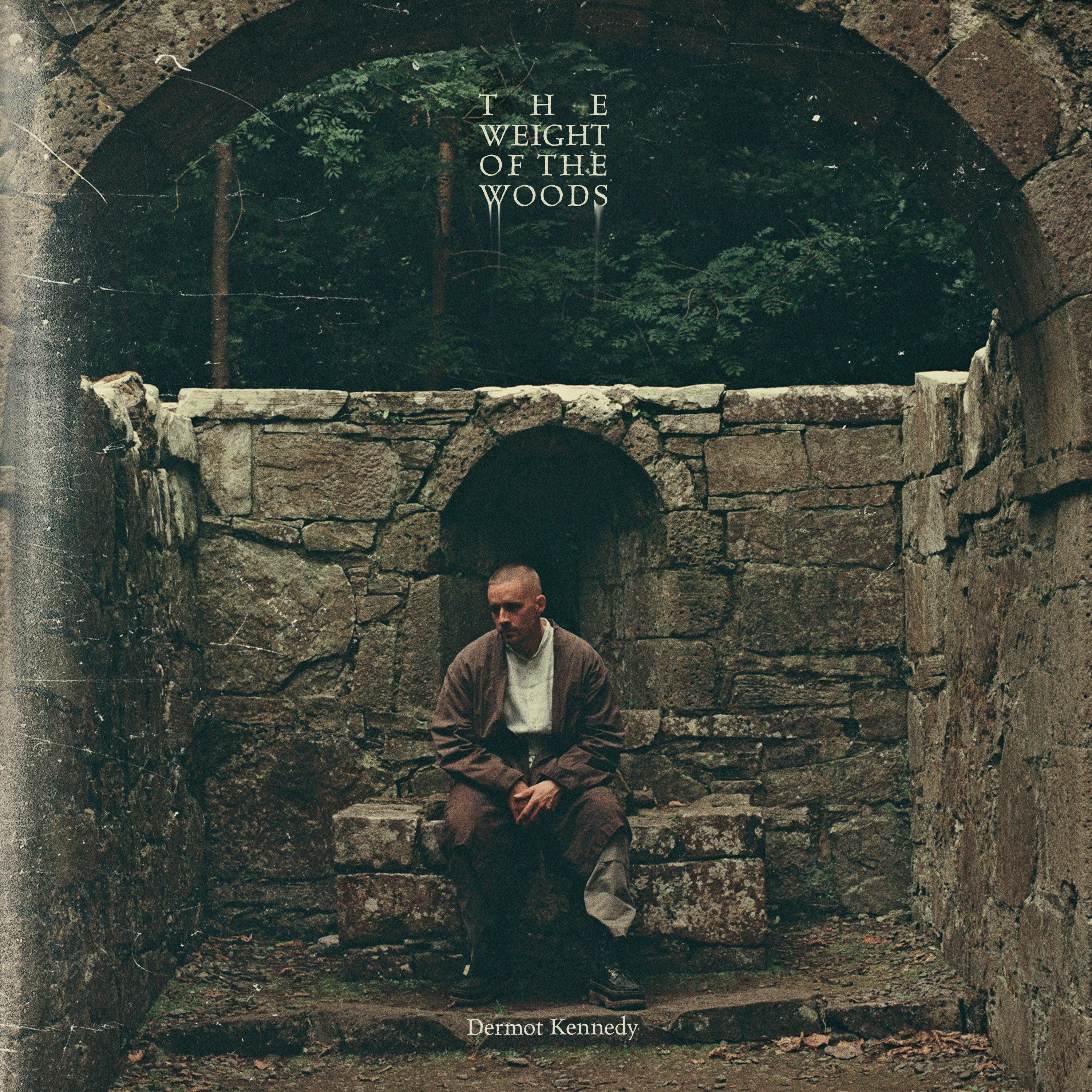 Dermot Kennedy - The Weight of the Woods