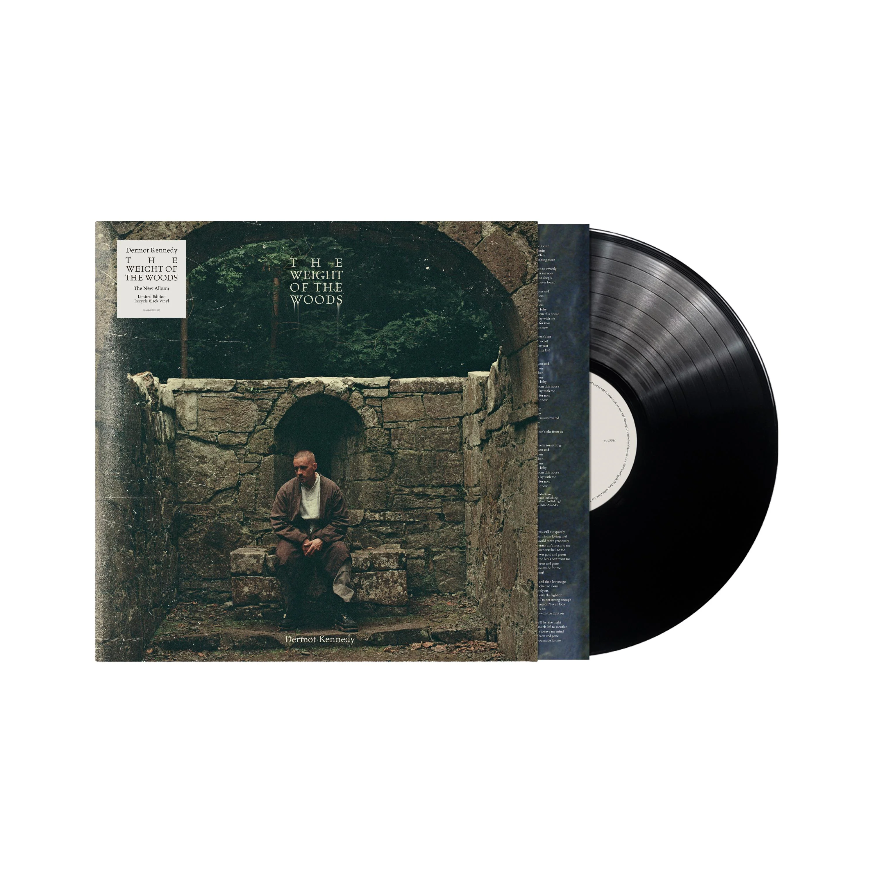 Dermot Kennedy - The Weight of the Woods - Image 2
