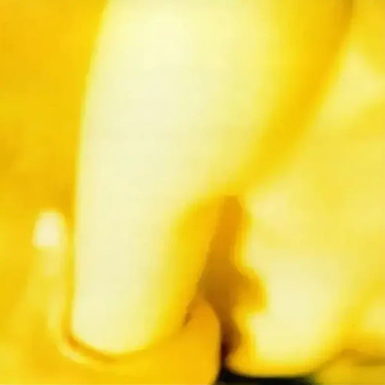 Smashing Pumpkins - Pisces Iscariot