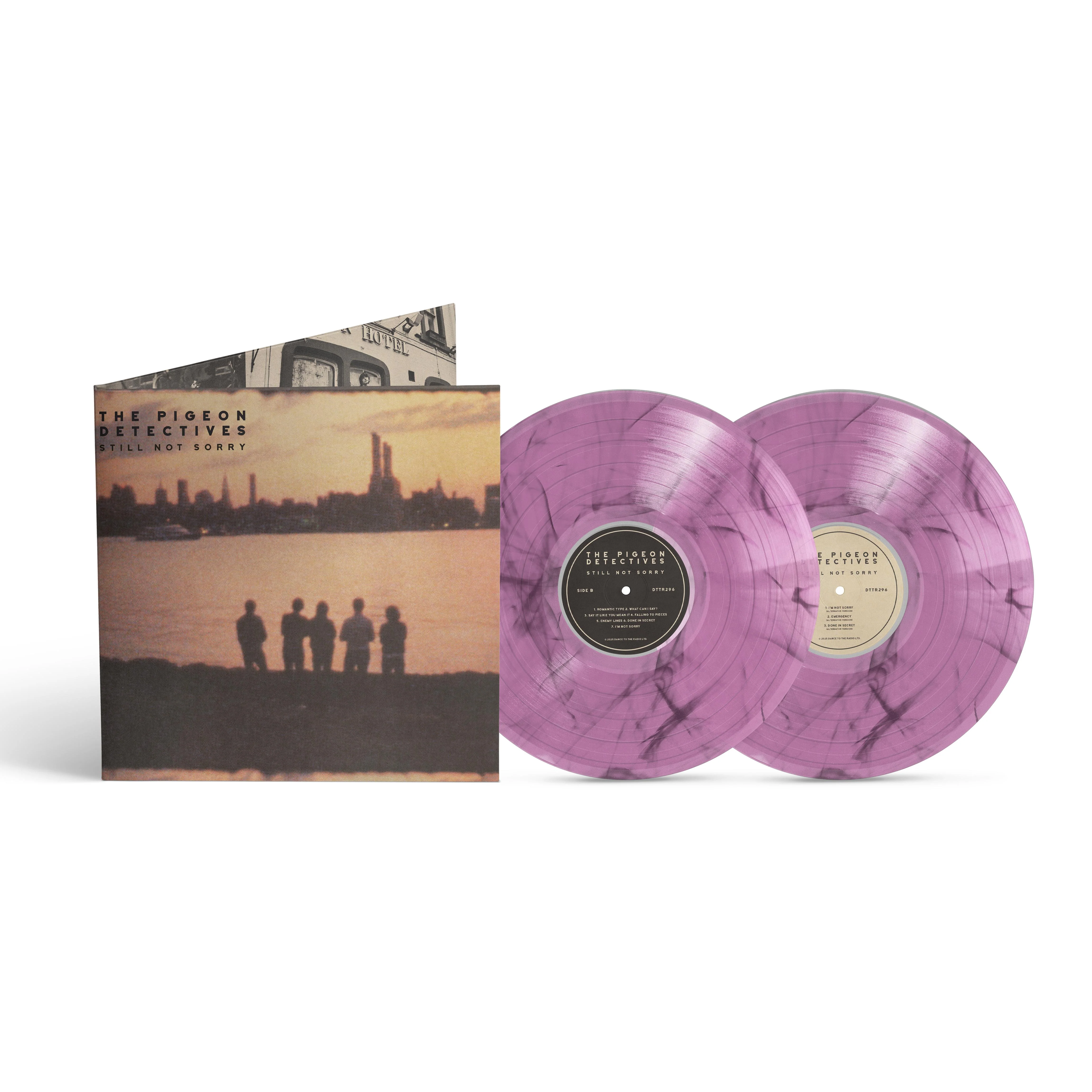 The Pigeon Detectives - Still Not Sorry - The Best of the Pigeon Detectives - Image 2