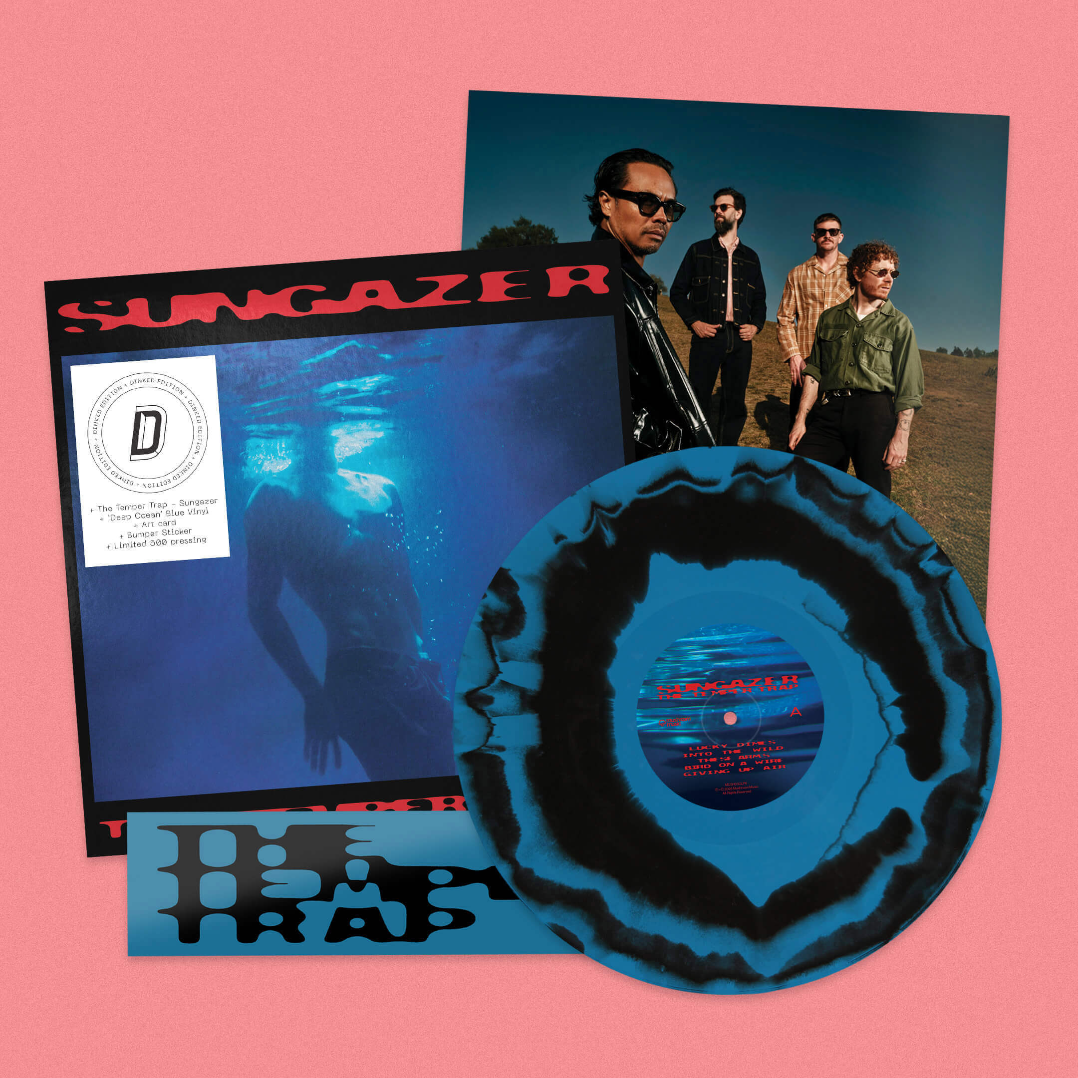 The Temper Trap - Sungazer - Image 3