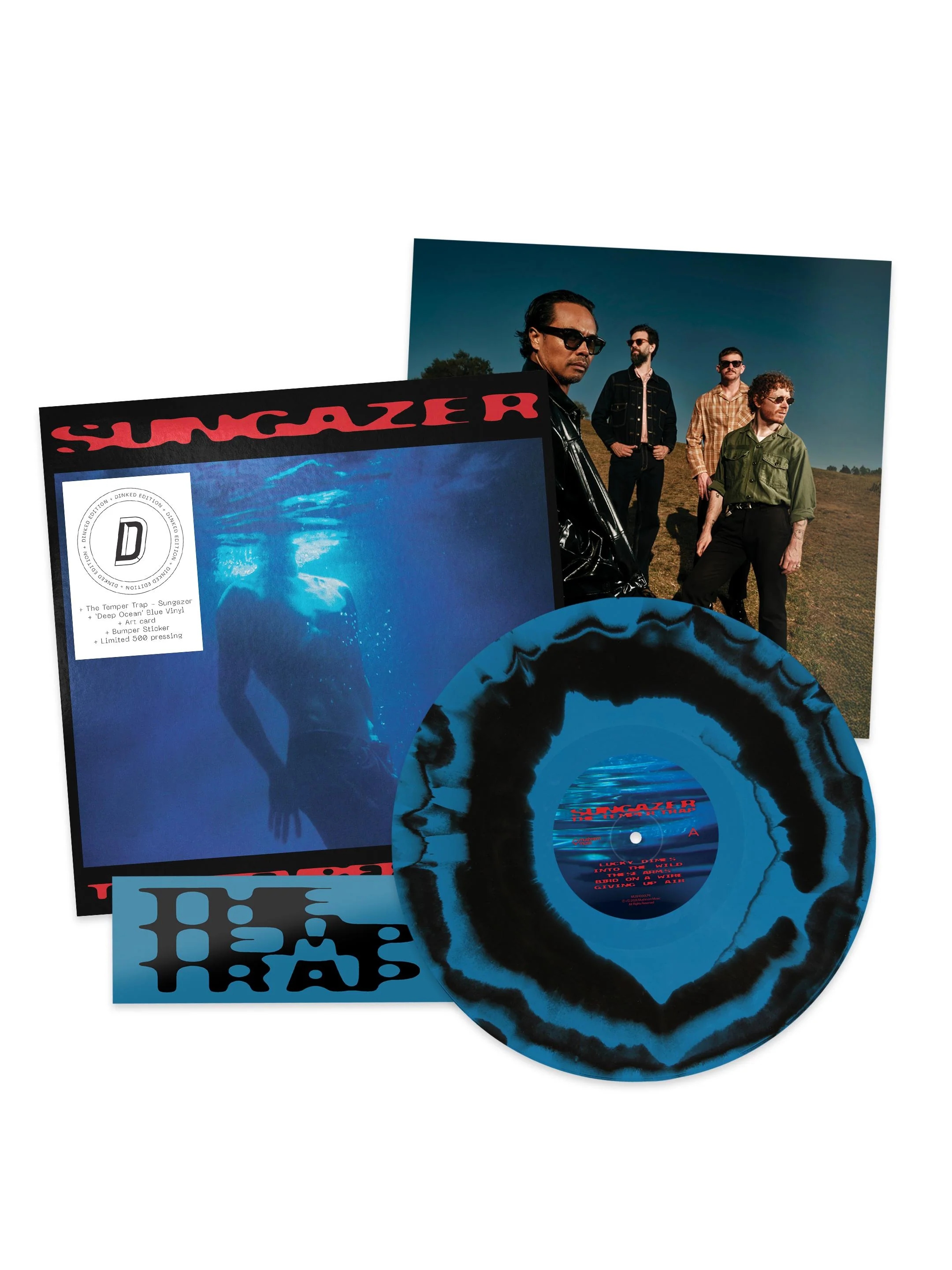 The Temper Trap - Sungazer - Image 9
