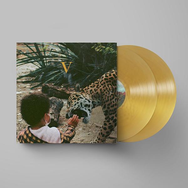 Unknown Mortal Orchestra - V - Image 2